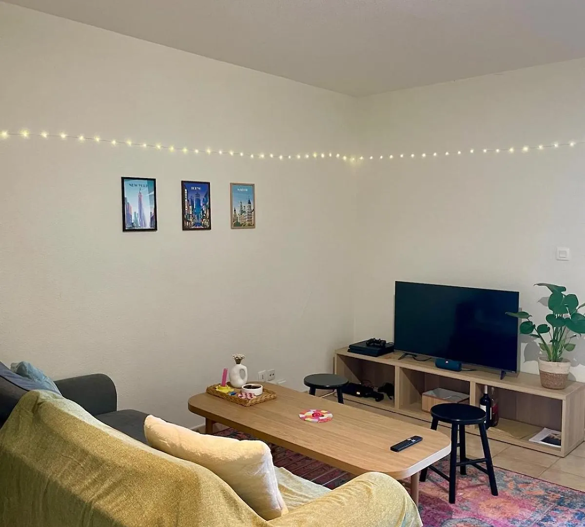 Appartement Spacieux - Grand Balcon - Compans Toulouse